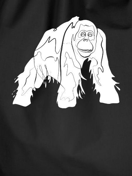 Orangutan