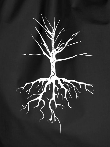 Baum