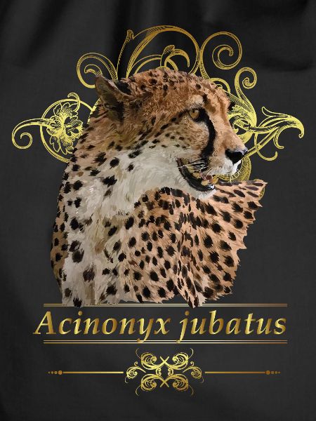 cheetah