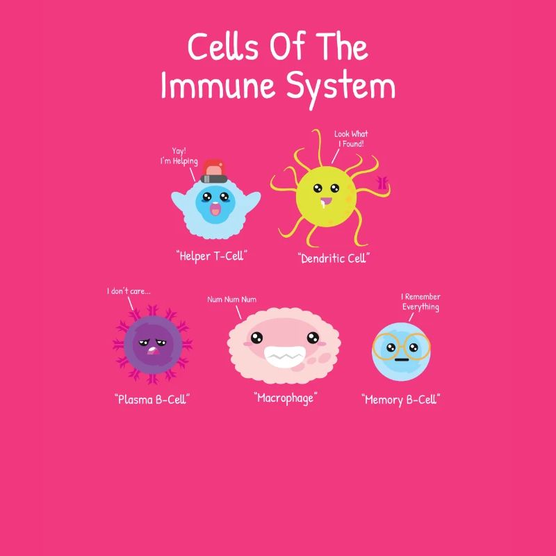 Science Cell Immune System Macrophage Dendritic