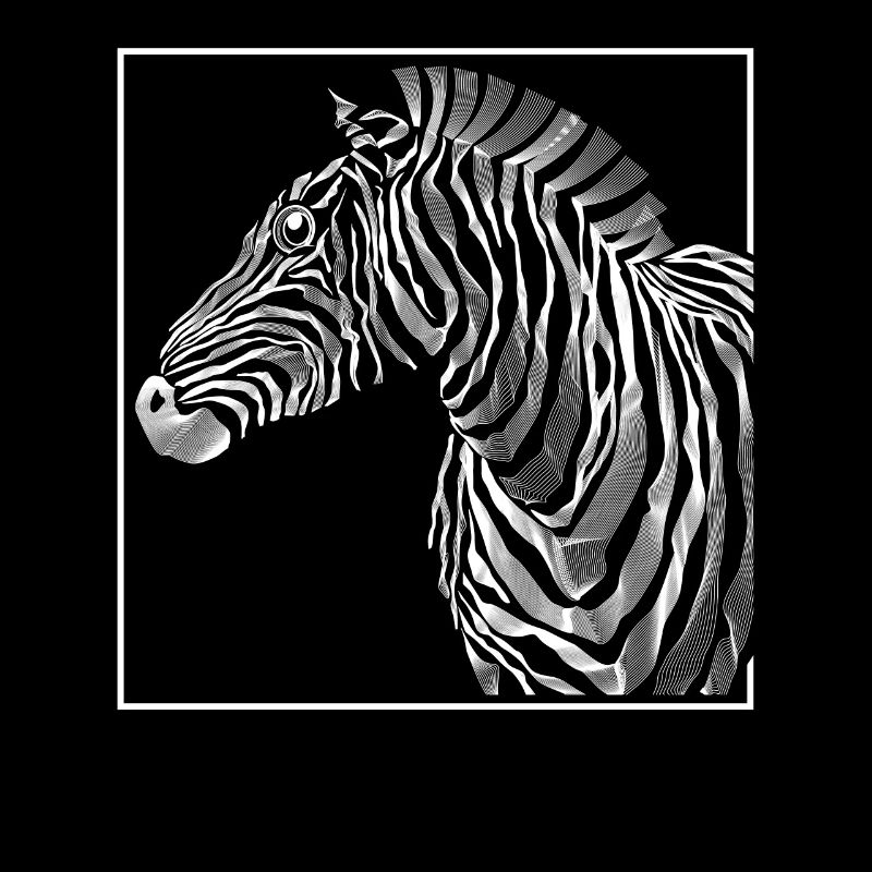 Zebra Zebra Zebra