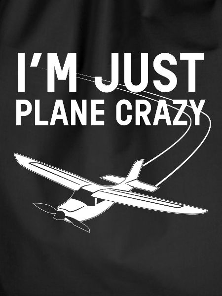 crazy plane