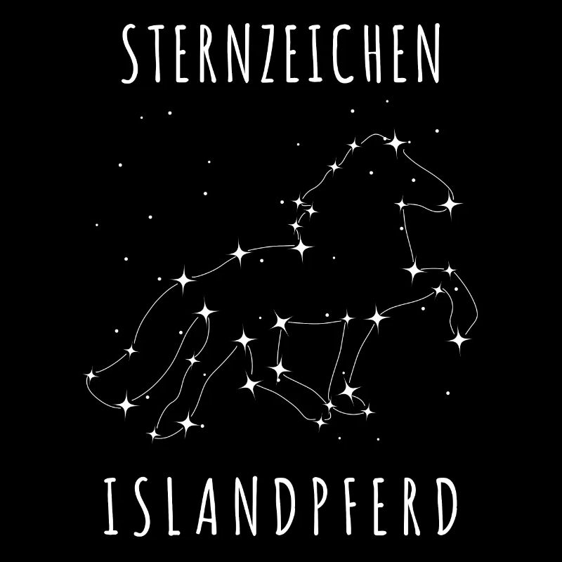 Island Pferd Isländer Sterne Nachthimmel