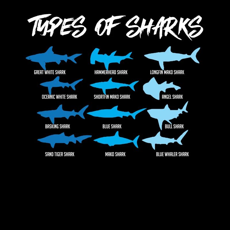 Requin Espèces de sharks, requin-marteau,bâche
