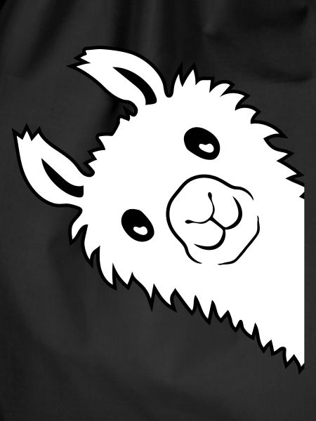 Lama looks sideways