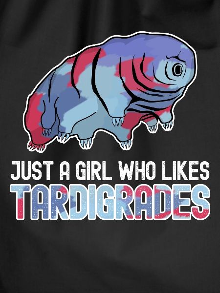 Tardigrade Tardigrades Water Bear
