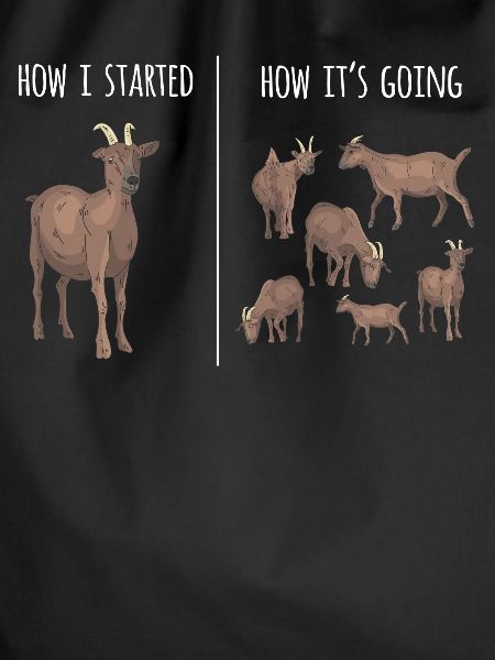 Goat, goats, goat lovers