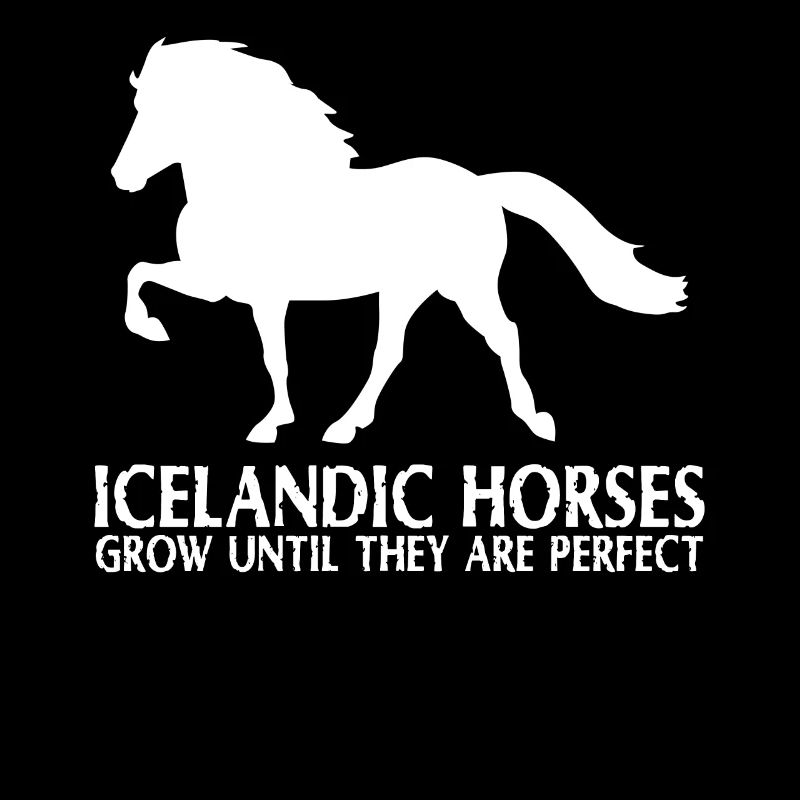 Islandpferd Perfektes Pferd Islandpferde