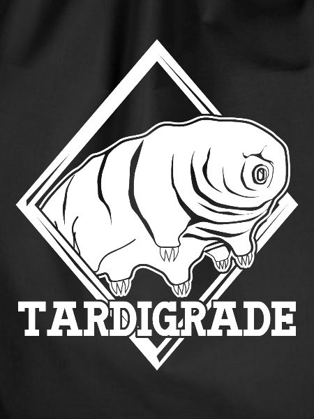 Tardigrade Water Bear Tardigrades