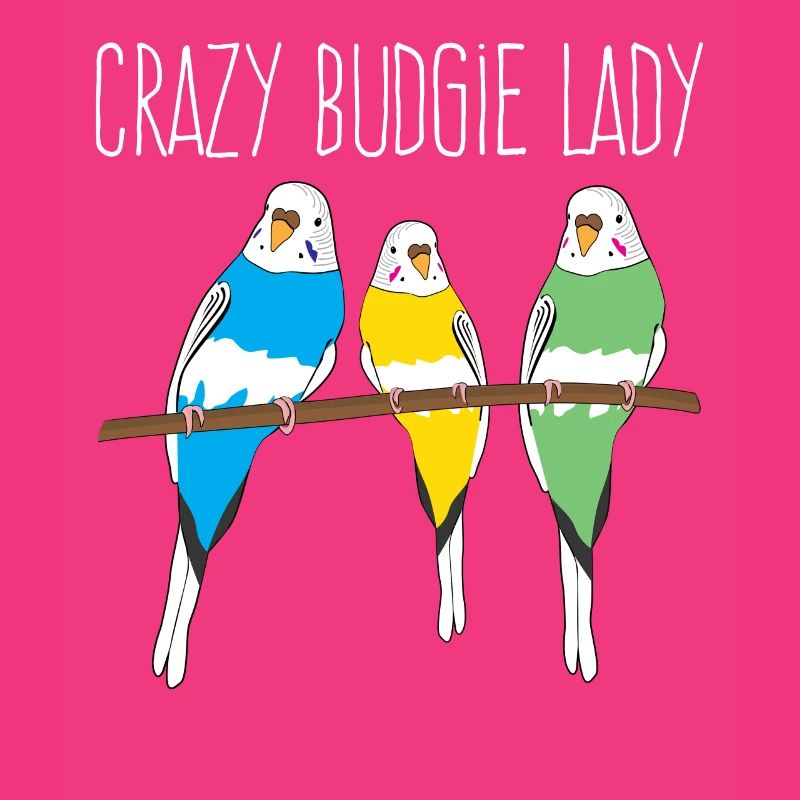 Perruche Budgerigar Lady Budgerigar