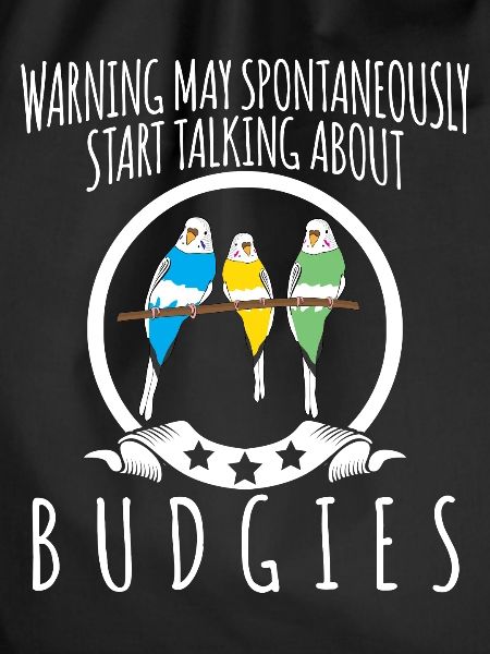 Budgerigar joke with budgerigar