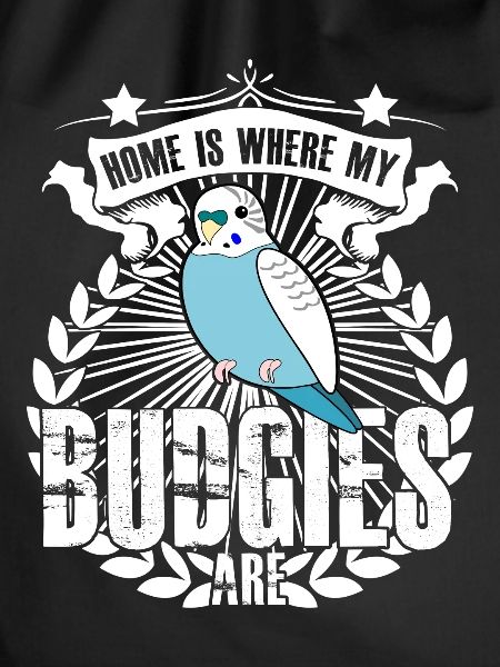 Budgie Budgie Budgerigars