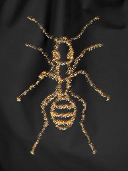 Ants Retro Insect Ant