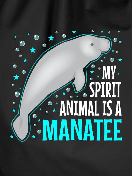 Manatee Manatee