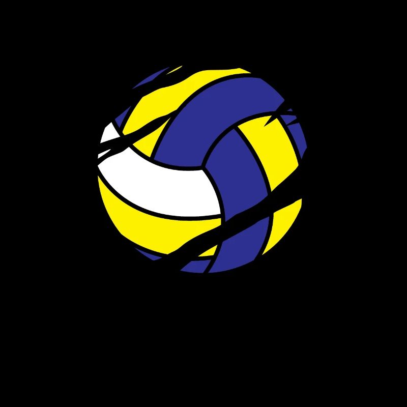 Volleyball Ball Volleyball Player