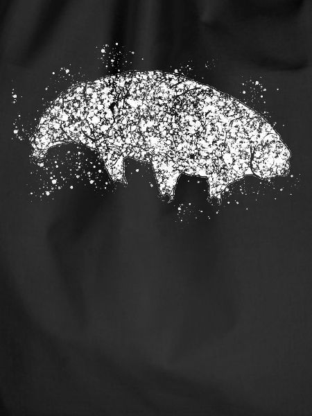 Wasserbär Bärtierchen Tardigrade