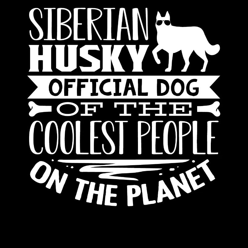 Husky sibérien