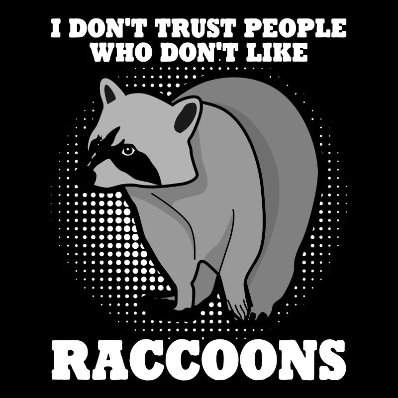 Raton laveur Raton laveur