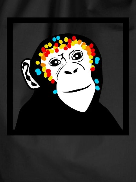 Monkey Monkey Face Monkey