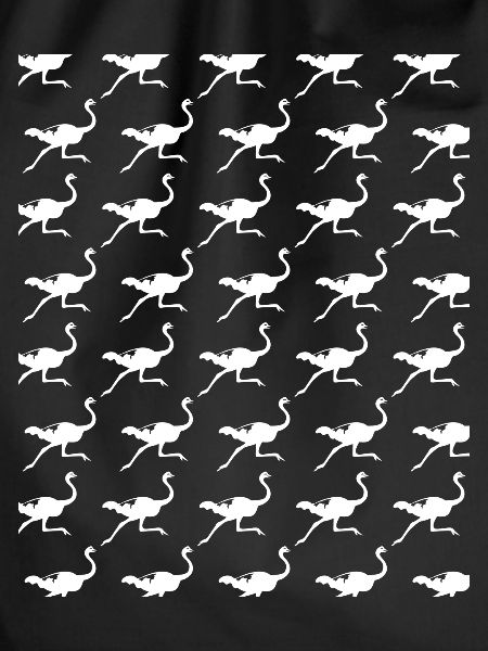Running Ostrich