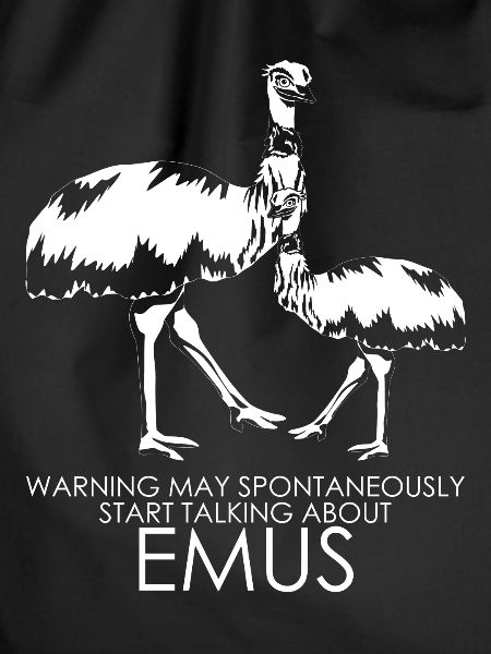 Emus Australia Holidays Emu