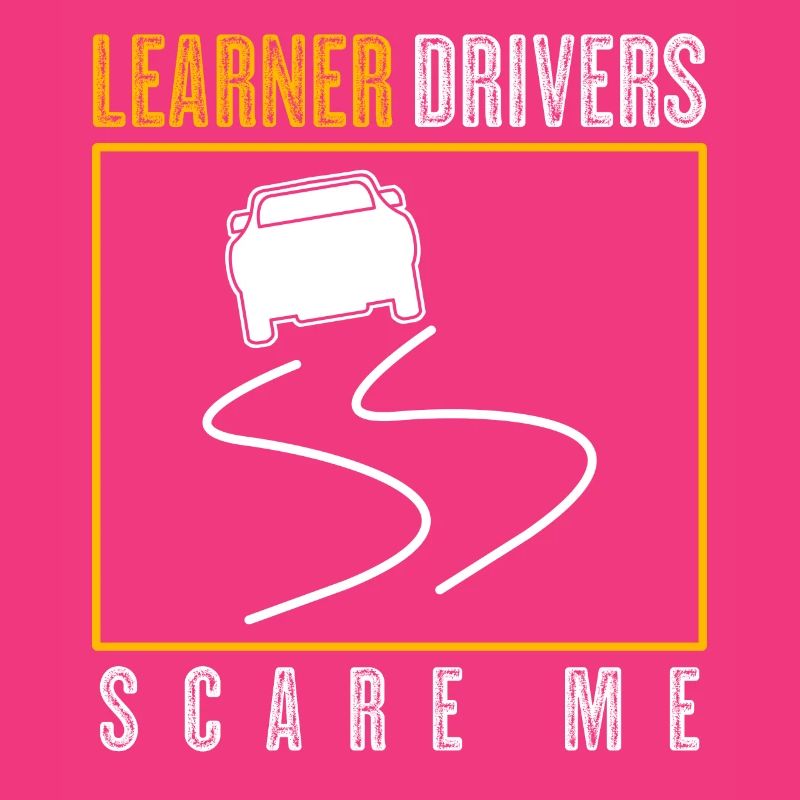 Driving Instructor Learner Driver