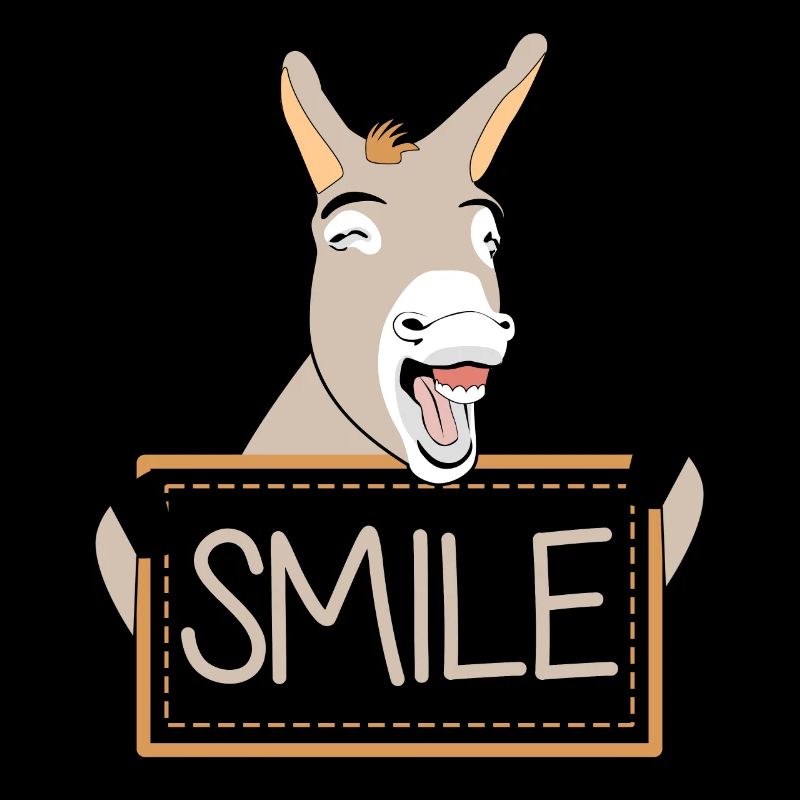 Donkeys funny smiling Donkey