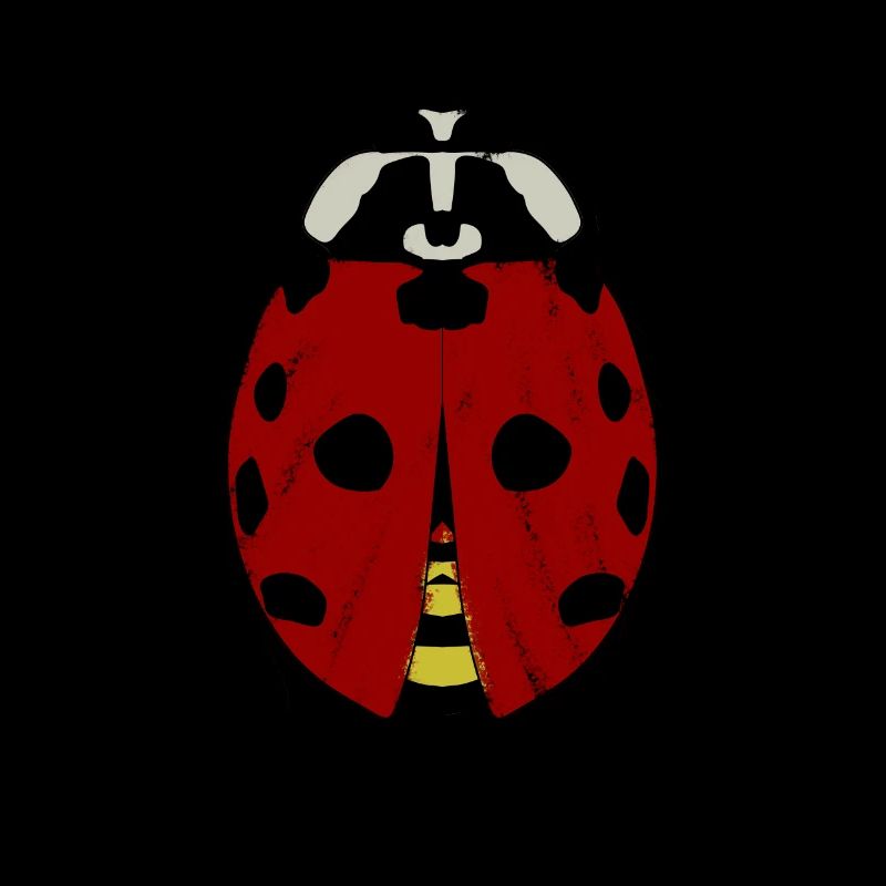 Ladybug Ladybugs