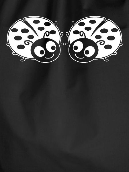 Ladybugs Ladybird Ladybug