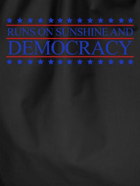 Democracy Democratic Elections