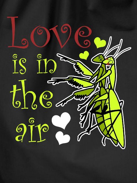 Praying Mantis Love