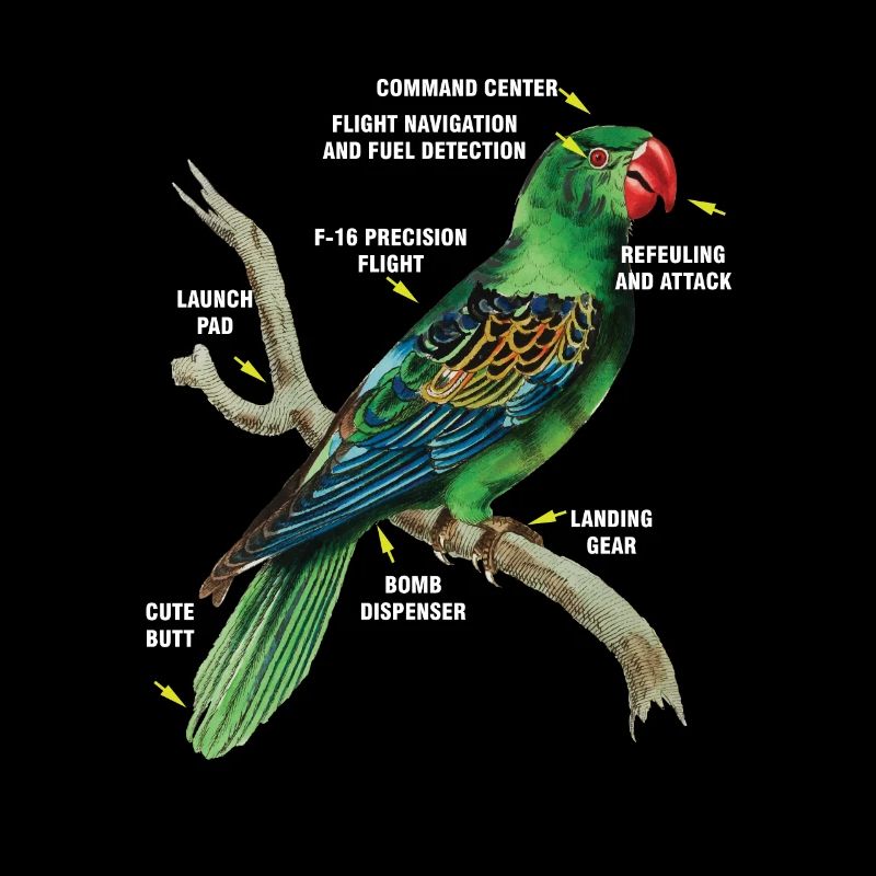 Birders Parrot Birdwatching Parrot Lover Gift