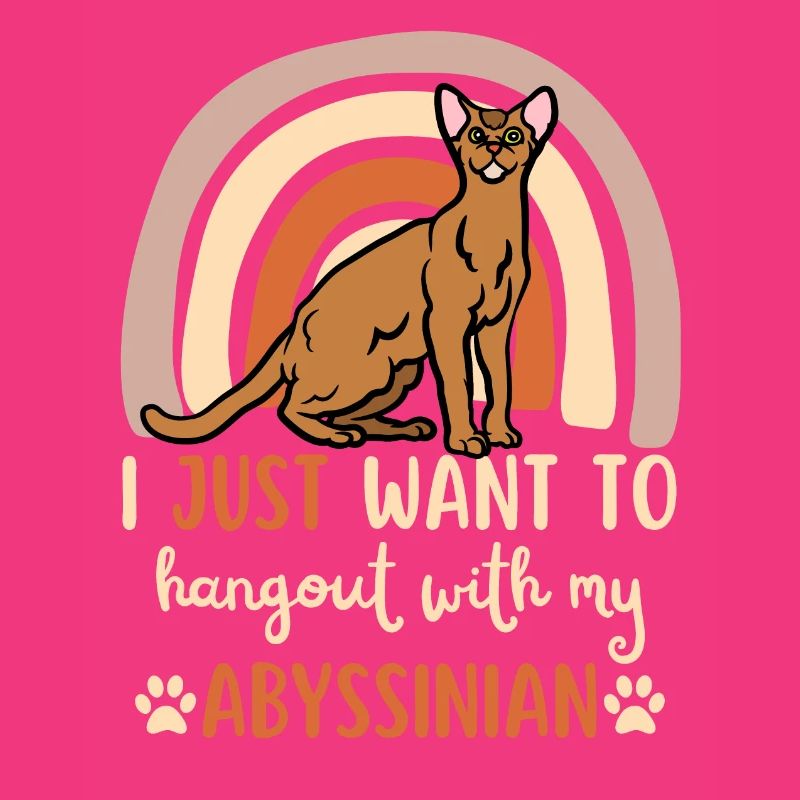 Cute Abyssinian cat