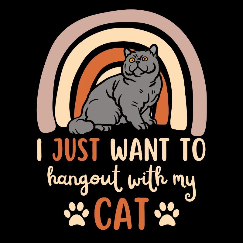 Cute British Shorthair Cat Cat