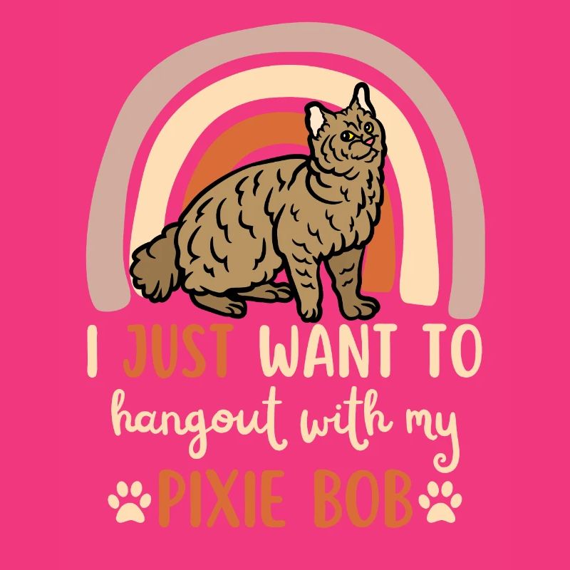 Süße Pixie Bob Katze