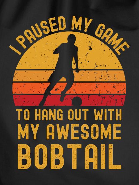 Football and Bobtail