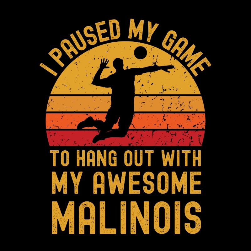 Volleyball et Malinois