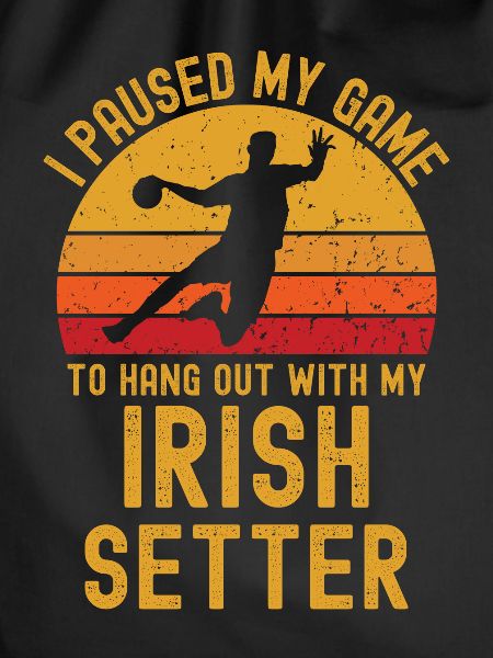 Handball and Irish-Setter