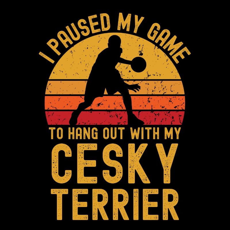 Basketball and Cesky Terriers