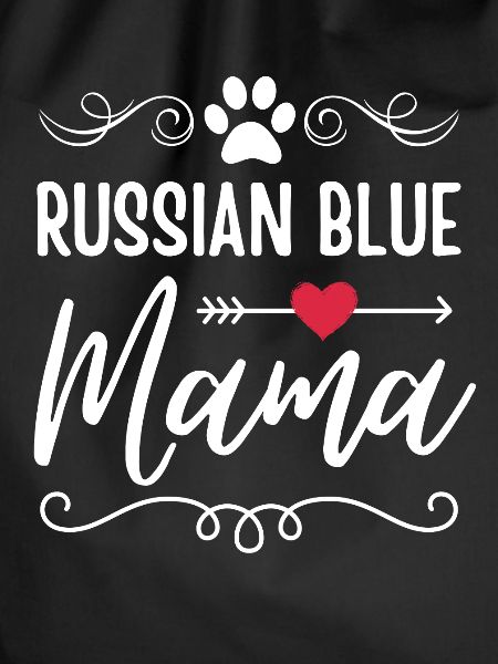 Russian Blue Cat Mama