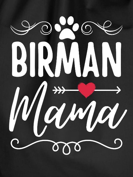 Birman cat Mama