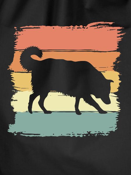 Border-collie retro