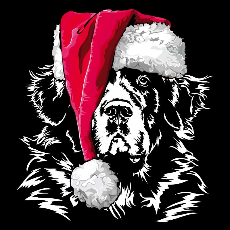 LANDSEER Noël bonnet de Wilsign cadeau