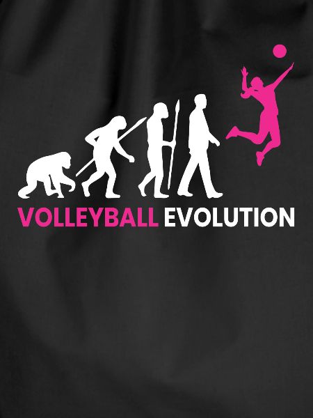 Evolution Volleyball