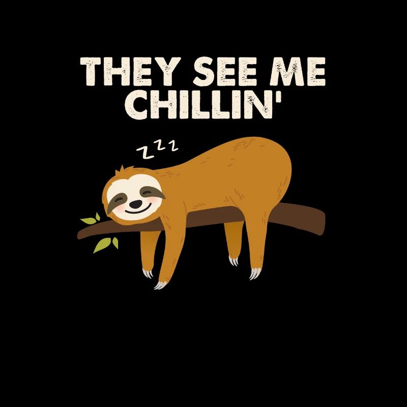 Sloth Paresseux