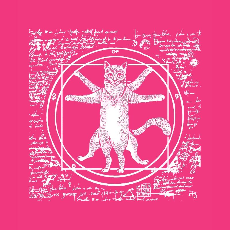 Leonardo Da Vinci Vitruvian Cat Cat Gift