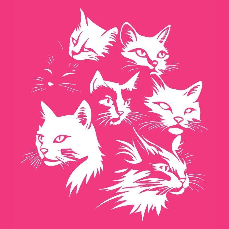 Équipe Cat