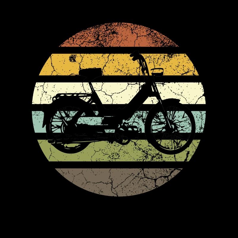 DDR Moped Oldtimer Roller Mofa Scooter 2 Takter