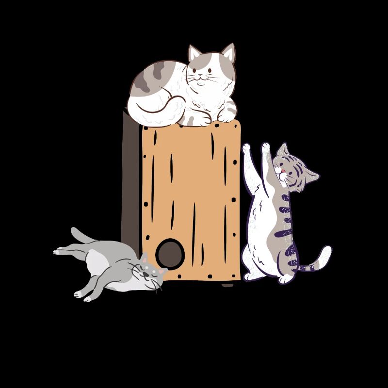 Cajon Box Drum Instrument Peruvian Cajon