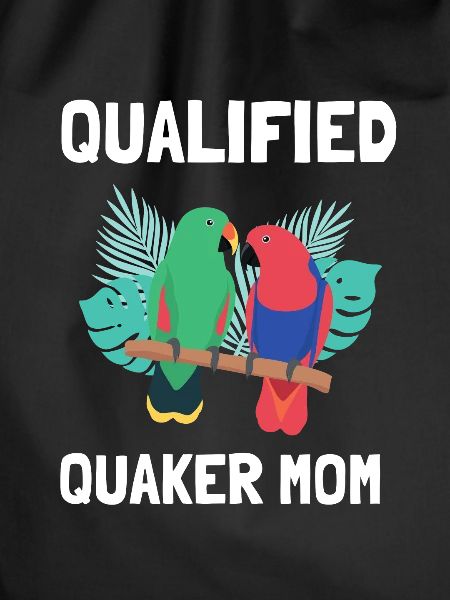Blue Quaker Parrot Mom
